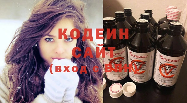 гашик Дмитриев